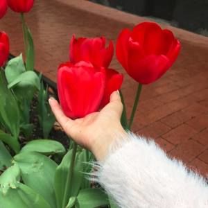 Meet your Posher, Lupe